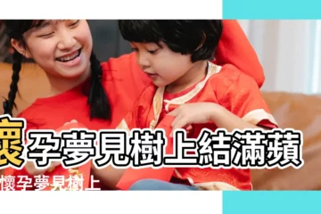 【孕婦夢見柿子樹上結蘋果】懷孕夢見樹上結滿蘋果 |懷孕夢見樹上有蘋果 |夢見柿子樹上結滿柿子 |