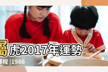 【屬虎人2017年桃花運】屬虎2017年運勢及運程 |1986屬虎的人2017年運程大全及破解 |屬虎2017年運勢及運程 |