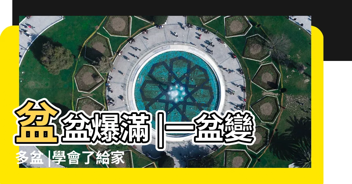 【萬年青分株】盆盆爆滿 |一盆變多盆 |學會了給家裡增添綠意 |