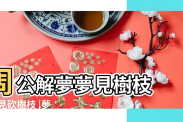 【解夢夢見自己卻樹枝】周公解夢夢見樹枝 |夢見砍樹枝 |夢到自己在修樹枝怎麼説 |