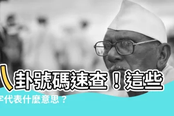 【八卦注音】八卦號碼速查！這些數字代表什麼意思？你知道嗎？