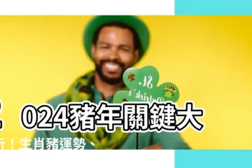【豬年次】2024豬年關鍵大解析！生肖豬運勢、吉祥物、財位一把捉