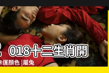 【2018年兔幸運方位】2018十二生肖開運幸運顏色 |屬兔人2018年幸運方位在哪 |屬兔的人在2018年的幸運方位 |
