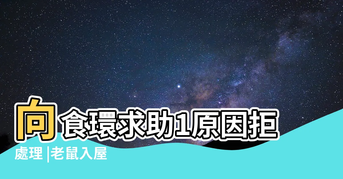 【如何判斷家裡有老鼠】向食環求助1原因拒處理 |老鼠入屋 |觀察這三點抓老鼠變容易 |
