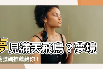 【夢到很多鳥號碼】夢見滿天飛鳥？夢境抽籤號碼推薦給你！解夢、樂透一網打盡！