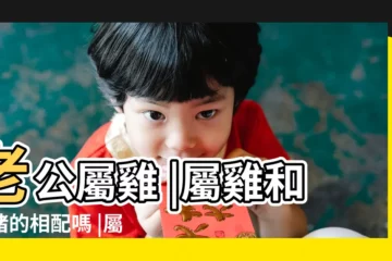 【我屬豬 我老公屬雞在2016】老公屬雞 |屬雞和屬豬的相配嗎 |屬豬的屬相婚配表大全 |
