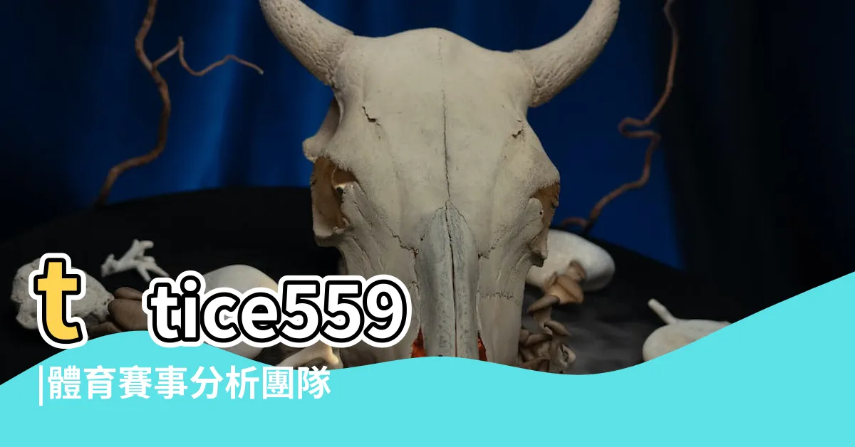 【招財進寶分析團隊】ttice559 |體育賽事分析團隊 |招財進寶 |