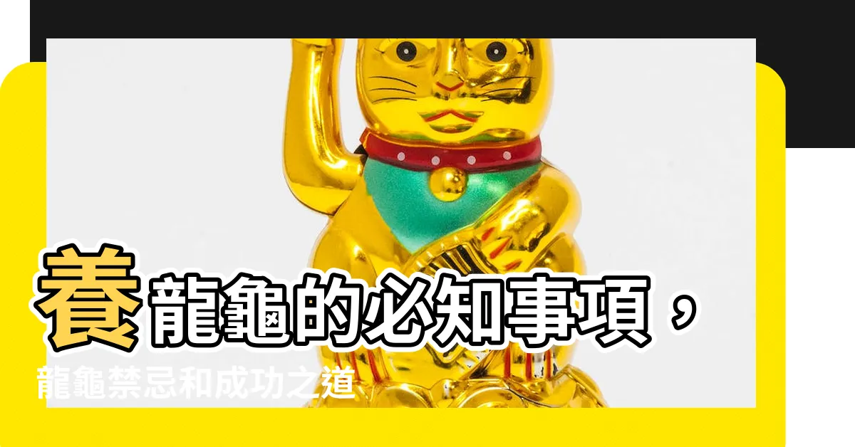 【養龍龜】養龍龜的必知事項，龍龜禁忌和成功之道揭密！