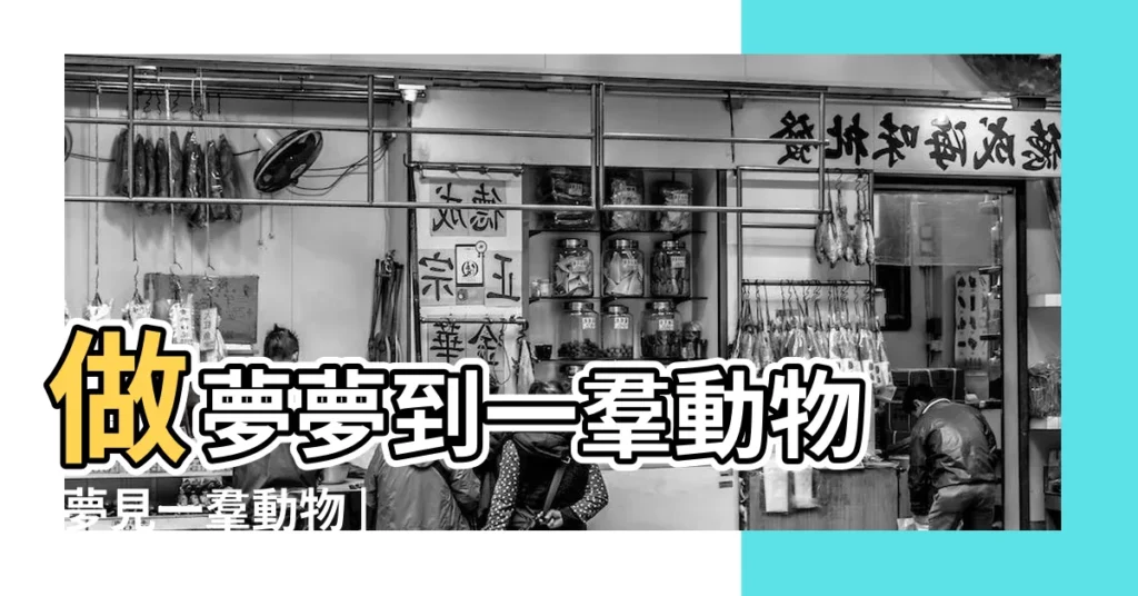 做夢夢到一羣動物 |夢見一羣動物 |夢見各種動物 |【夢見一羣一羣的動物】