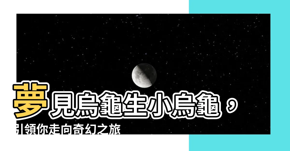 【夢到烏龜生小烏龜】夢見烏龜生小烏龜，引領你走向奇幻之旅的夢境