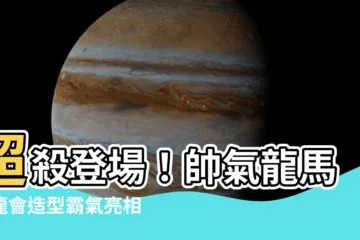 【龍馬 青龍會】超殺登場！帥氣龍馬青龍會造型霸氣亮相