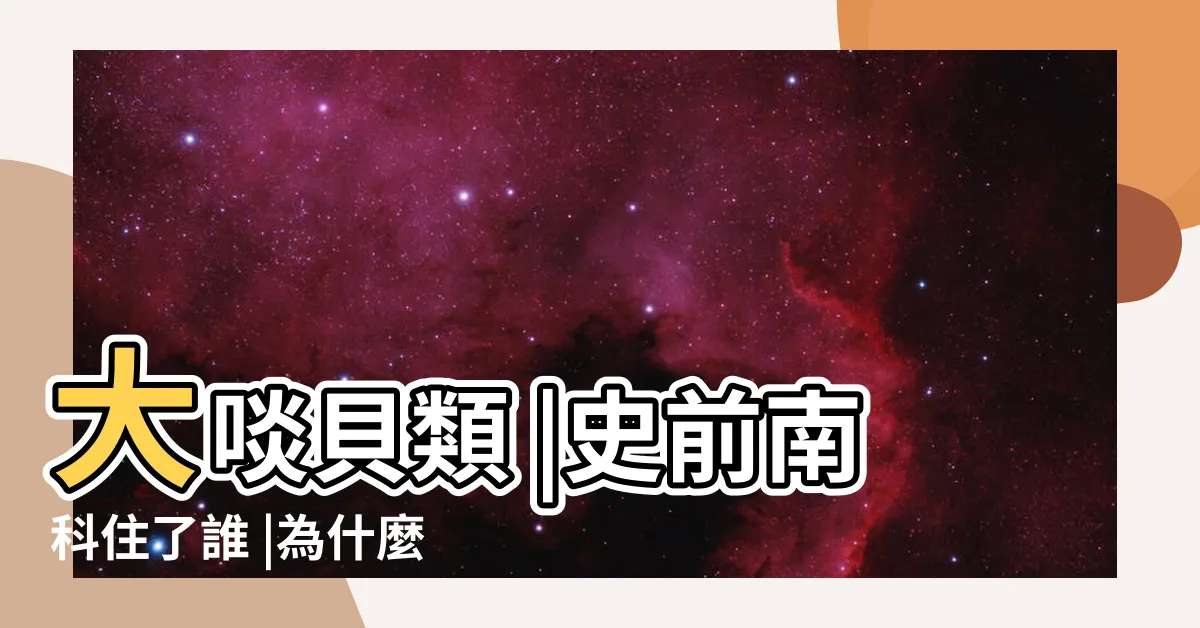 【背後中箭】大啖貝類 |史前南科住了誰 |為什麼總有一種背後中箭的感覺呢ㅍ |