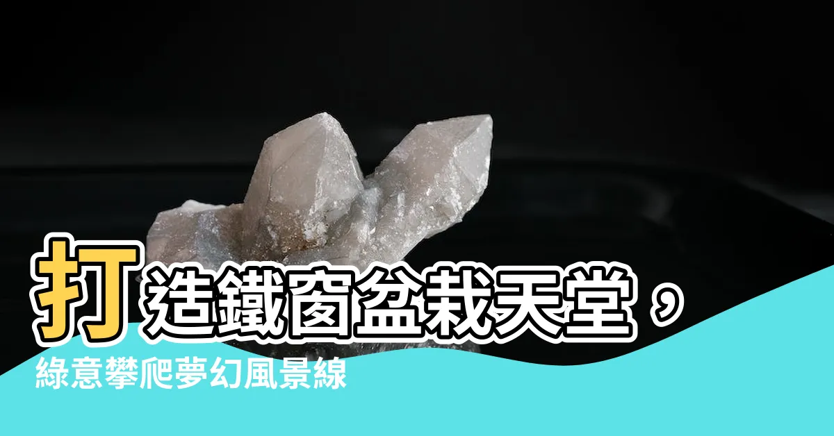 【鐵窗植物】打造鐵窗盆栽天堂，綠意攀爬夢幻風景線