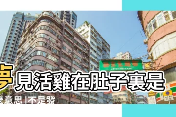 【夢雞從自己肚子出來】夢見活雞在肚子裏是什麼意思 |不是發橫財就是快升職 |夢見肚子裡有東西 |