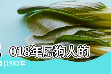 【82年屬狗的摩羯座2018年運勢如何】2018年屬狗人的運勢 |1982年屬狗的人2018年運程 |1982年屬狗的人2018年是什麼命 |