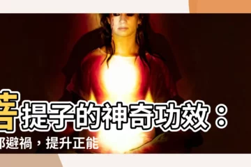 【菩提子的功效】菩提子的神奇功效：驅邪避禍，提升正能量！