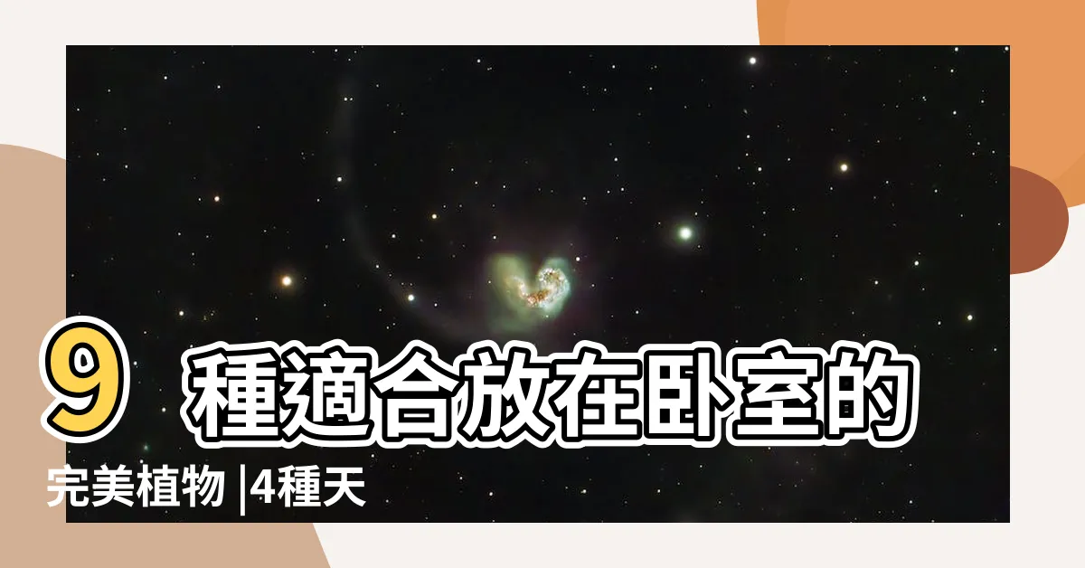 【適合放在房間的植物】9種適合放在卧室的完美植物 |4種天然空氣清淨機最適合放卧室 |10種適合室內養的植物 |