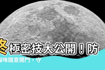 【防止貓咪開門】終極密技大公開！防止貓咪隨意開門，守護你的居家安全