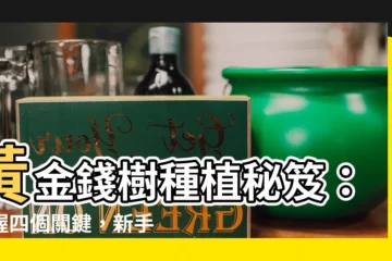 【錢樹種植】黃金錢樹種植秘笈：掌握四個關鍵，新手也能養出爆盆財富！