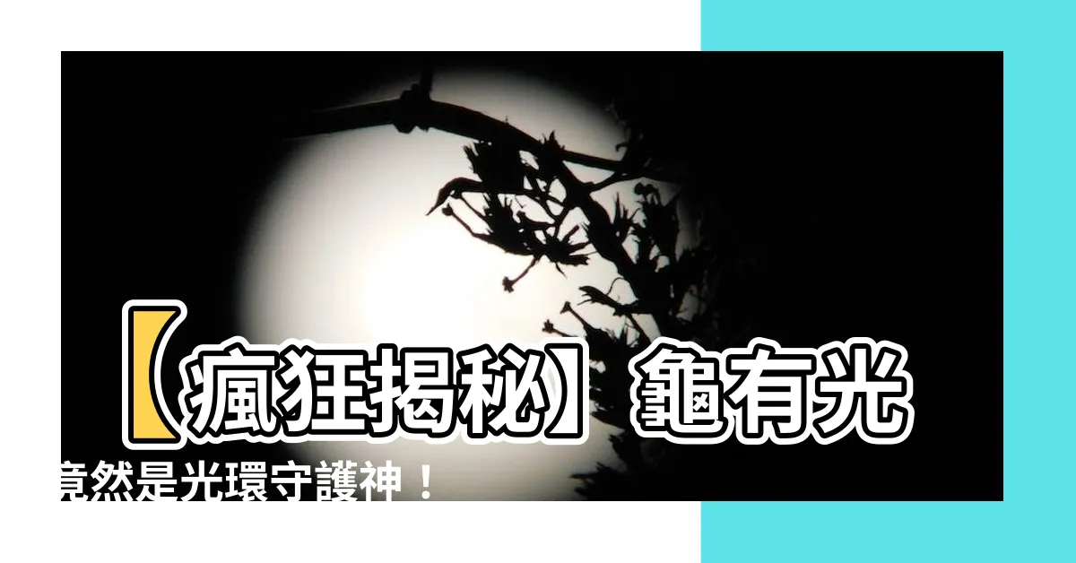 【龜有光】【瘋狂揭秘】龜有光竟然是光環守護神！驚爆真相曝光！