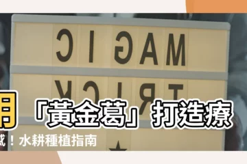 【黃金葛水耕】用「黃金葛」打造療癒感！水耕種植指南大公開