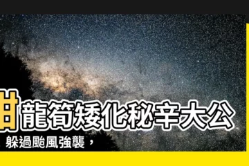 【甜龍筍矮化】甜龍筍矮化秘辛大公開！躲過颱風強襲，預訂排滿飯店