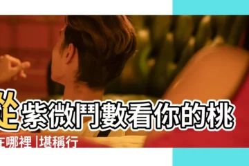 【紫微鬥數分析未來伴侶】從紫微鬥數看你的桃花在哪裡 |堪稱行走ATM |超越星座的準確度 |