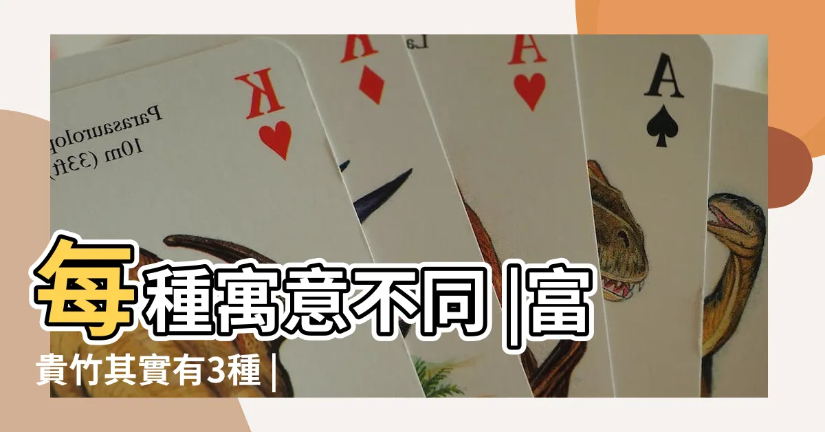 【富貴竹寓意】每種寓意不同 |富貴竹其實有3種 |不要養錯了 |