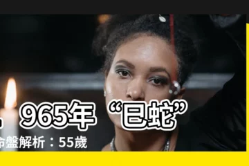 【65年是什麼年】1965年“巳蛇”的命盤解析：55歲後，人生的可能性是什麼？