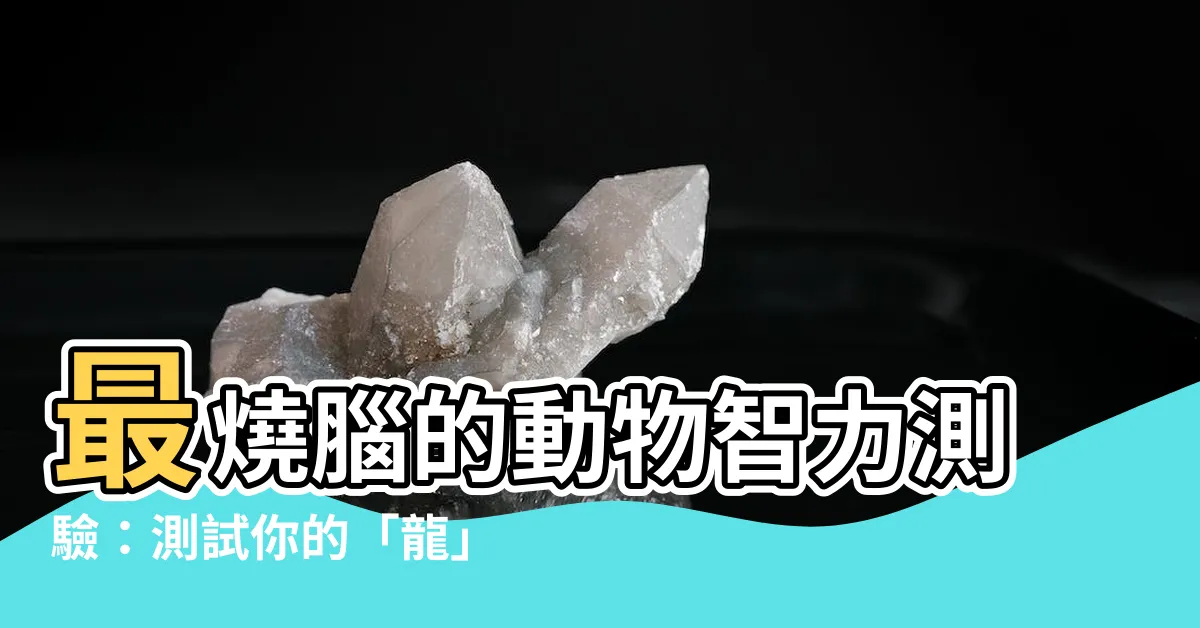 【什麼龍】最燒腦的動物智力測驗：測試你的「龍」知識！