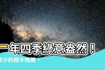 【落葉少的樹】一年四季綠意盎然！落葉少的樹木推薦，打造常綠不落葉的花園