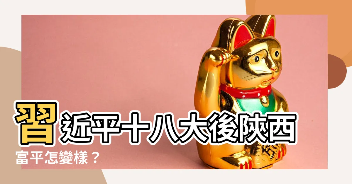 【習近平富平】習近平十八大後陝西富平怎變樣？