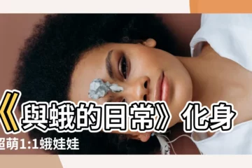 【與蛾的日常】《與蛾的日常》化身為超萌1:1蛾娃娃！
