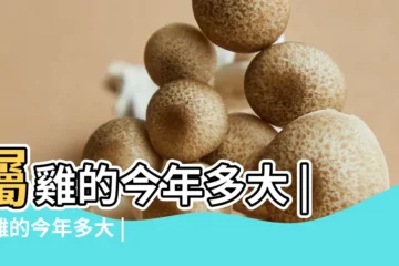 【屬雞男2018多大】屬雞的今年多大 |屬雞的今年多大 |屬雞的今年多大2018年 |