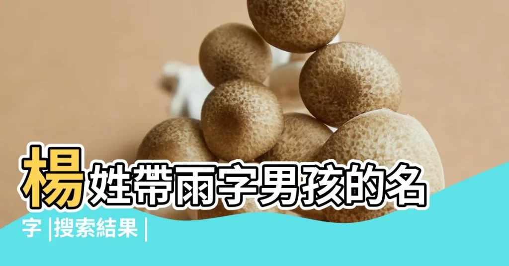 楊姓帶雨字男孩的名字 |搜索結果 |用楊雨取名字男孩楊姓男孩取名用雨字 |【男孩的名字楊雨】