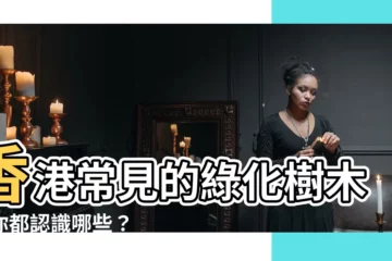 【什麼樹】香港常見的綠化樹木，你都認識哪些？