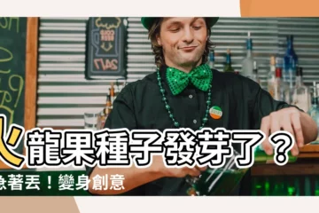 【火龍果種子發芽】火龍果種子發芽了？別急著丟！變身創意盆栽，美味果苗輕鬆種
