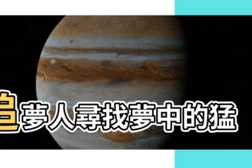 【夢老虎】追夢人尋找夢中的猛虎