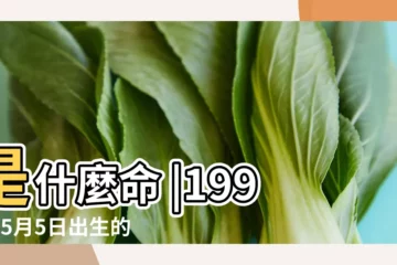 【1999年農曆5月初5女孩好不好】是什麼命 |1999年5月5日出生的人命好嗎 |農曆1999年5月5號包出生的人命運線 |