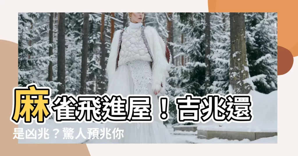 【麻雀飛入屋】麻雀飛進屋!吉兆還是凶兆?驚人預兆你不可不知!