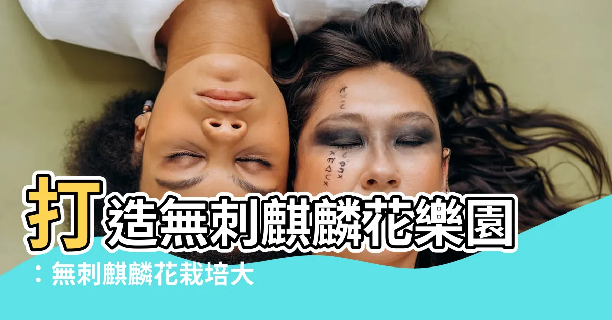 【無刺麒麟花栽培】打造無刺麒麟花樂園：無刺麒麟花栽培大全分享！