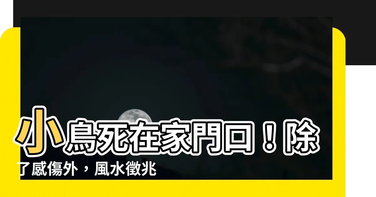 【小鳥死在家門口】小鳥死在家門口！除了感傷外，風水徵兆要小心