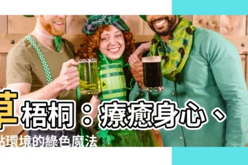 【草梧桐】草梧桐：療癒身心、妝點環境的綠色魔法