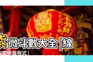 【紫薇流年盤打印】紫微斗數大全 |線上玄空排盤程式 |紫微斗數大全 |