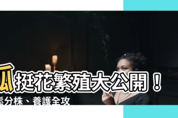 【孤挺花分株】孤挺花繁殖大公開！輕鬆分株、養護全攻略，打造花團錦簇的美景