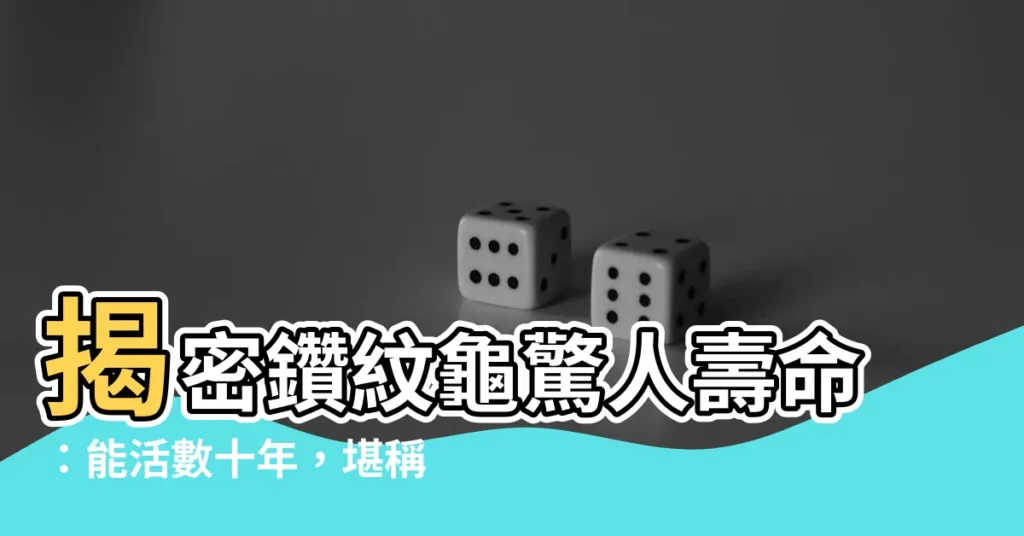 【鑽紋龜壽命】揭密鑽紋龜驚人壽命：能活數十年，堪稱龜界長壽冠軍