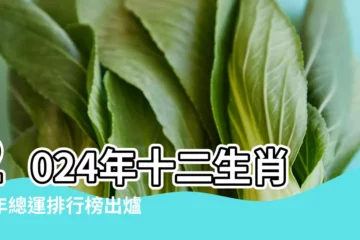 【地支十二運程】2024年十二生肖流年總運排行榜出爐 |來看看你的明年運勢 |日干十二運 |