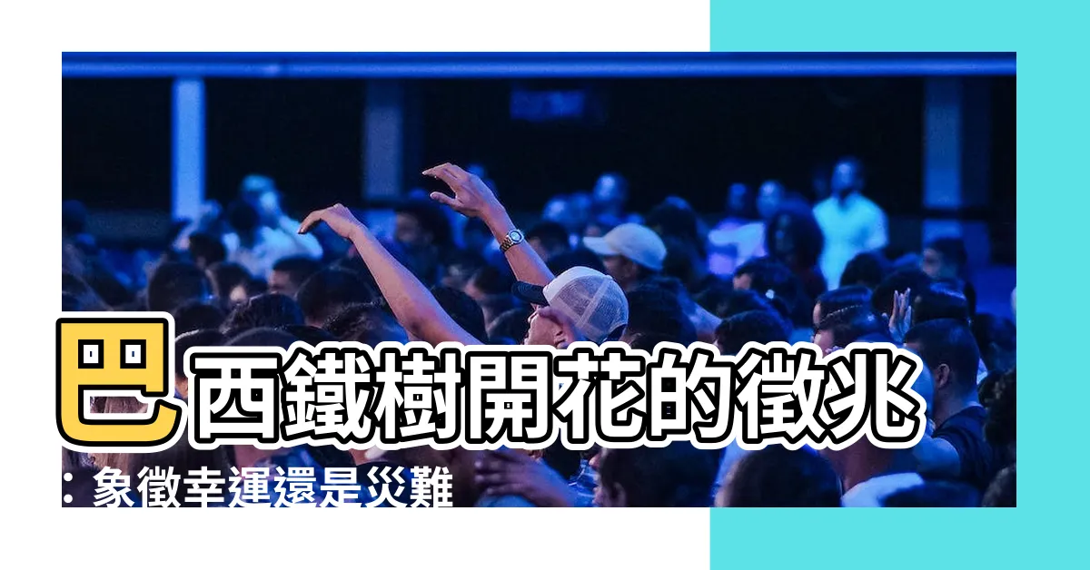 【巴西鐵樹開花的徵兆】巴西鐵樹開花的徵兆：象徵幸運還是災難？