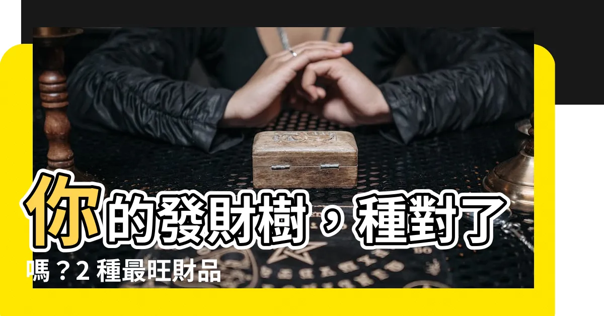 【招財 樹】你的發財樹,種對了嗎?2 種最旺財品種大公開!