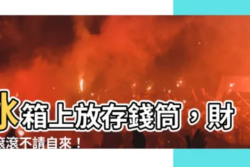 【冰箱上放存錢筒】冰箱上放存錢筒，財運滾滾不請自來！